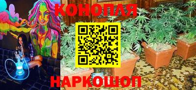 ПСИЛОЦИБИНОВЫЕ ГРИБЫ Северобайкальск